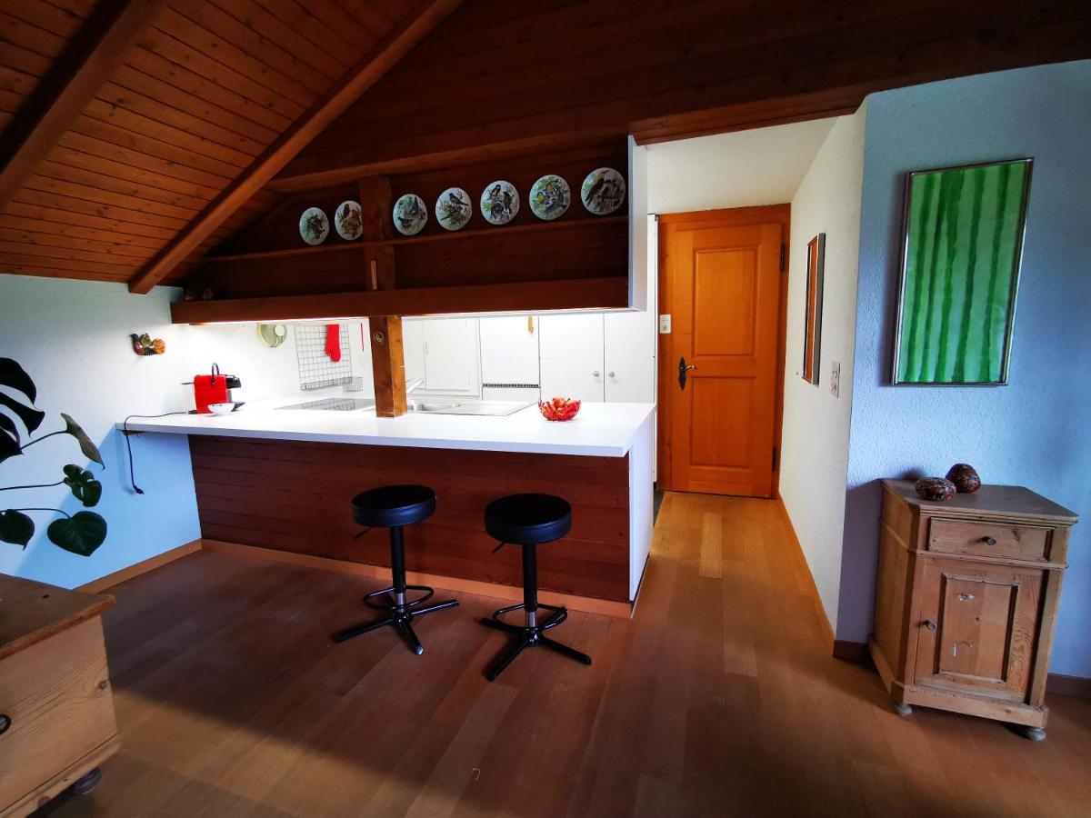 Marmottin Daire Luzern Dış mekan fotoğraf